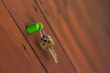 Heavy-Duty Magnet - Magnetic Stud Finder & Key Organizer - 3-Pack (Green)